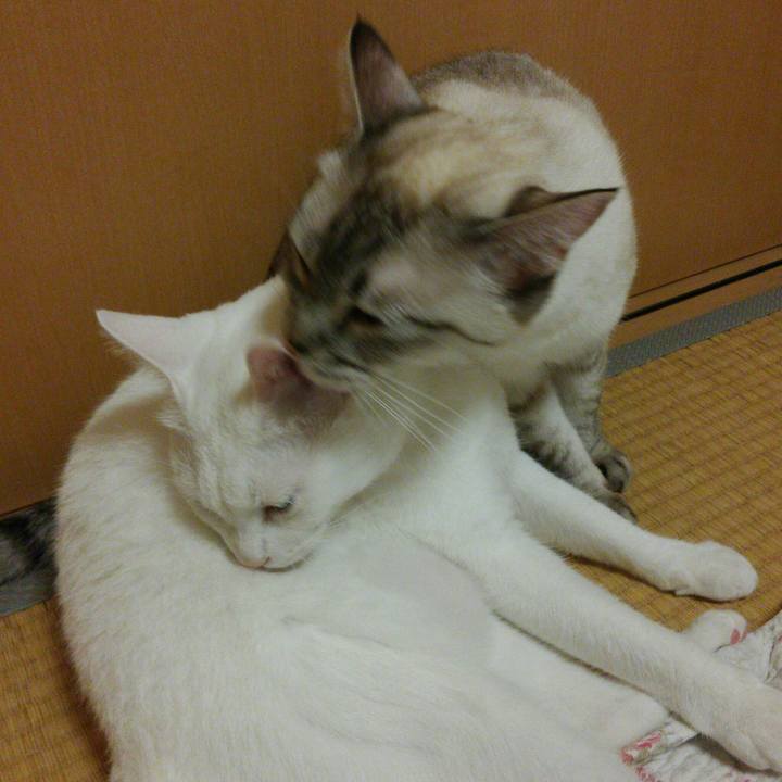 C435ebee 616d 44fa 81a4 4b0845b630dc