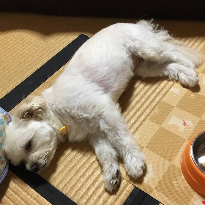 C435f1c0 329a 41e3 b901 bb64cb652a9b