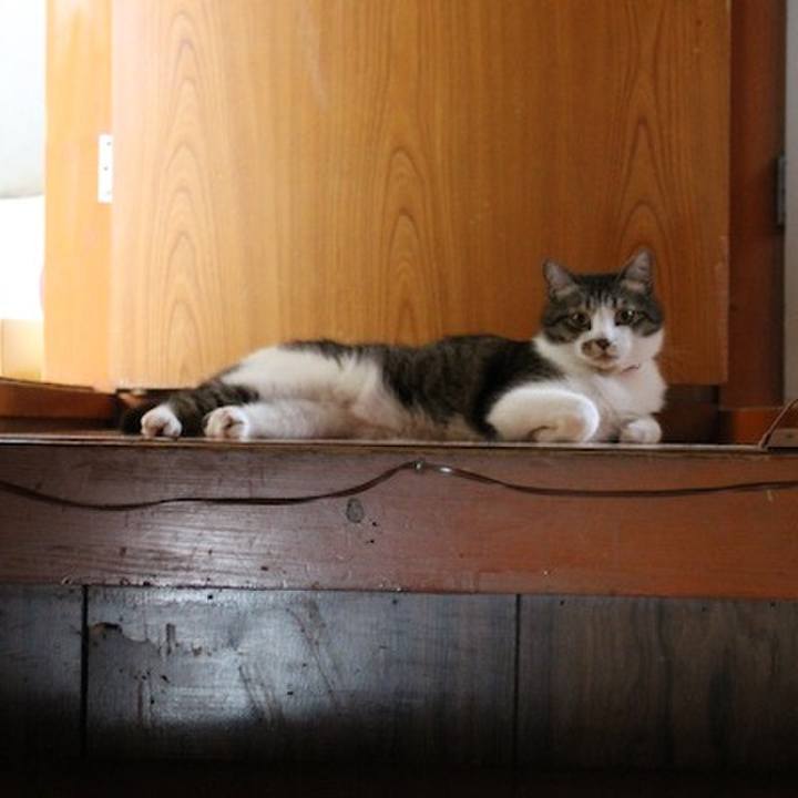 C436265b ab5b 4071 b81a 3521e5a6ef96