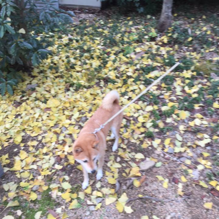 C4363576 c1ae 444d 9209 e2ceaa578dbd