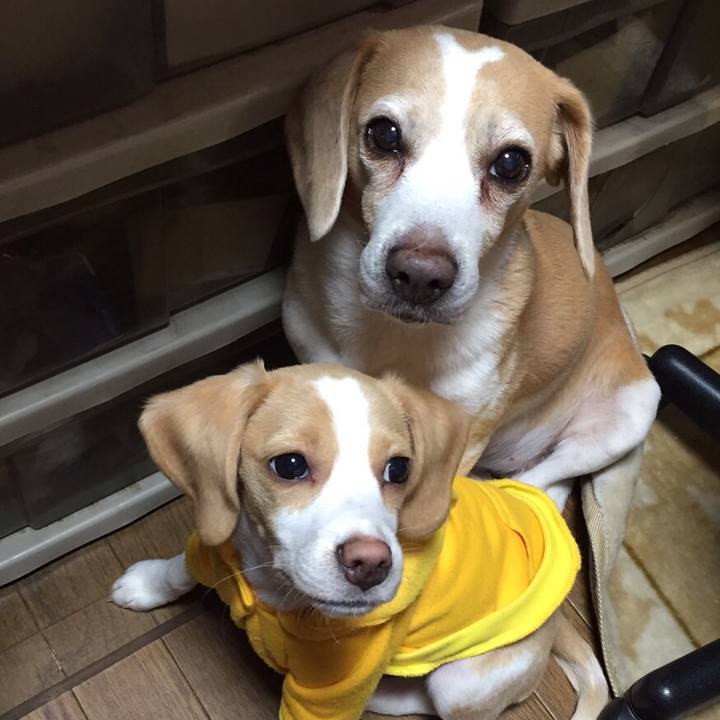 C4367731 05f0 4b79 bb50 fd581704d0b3