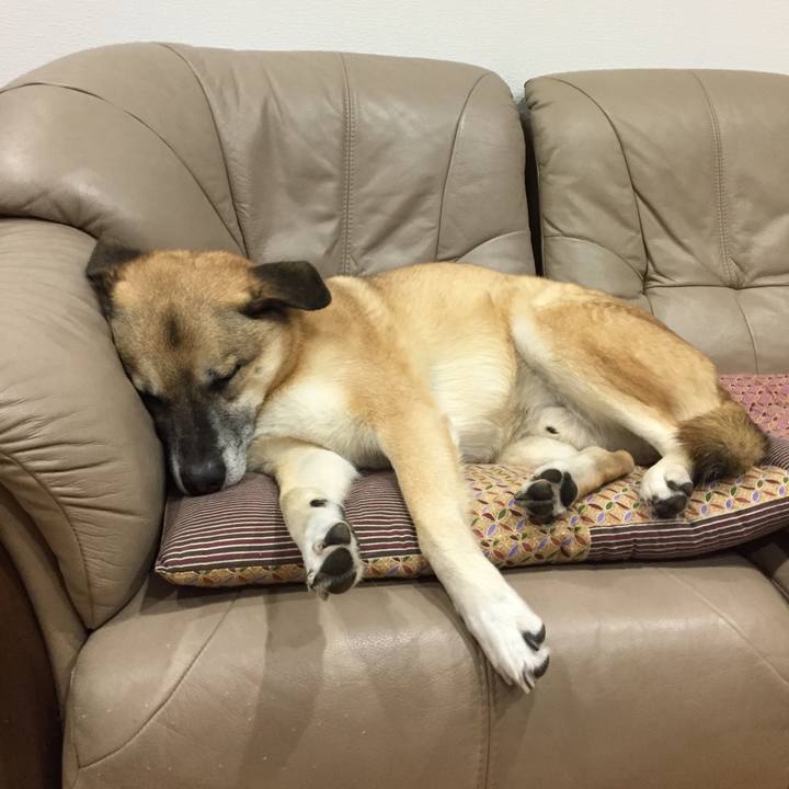 C436a283 bfd9 48fa 9ac2 eeb2881744f4