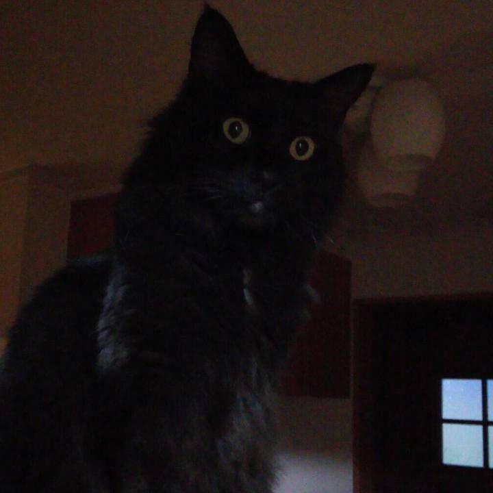 C437aaff 54c9 487c 8f76 215e40df0e85