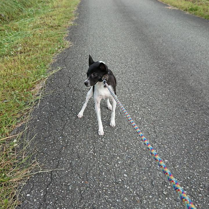 C4380808 0074 44c7 b5cc f8b92e96e9ce