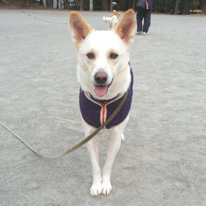 C4389a8c 0af7 41ab a0d0 50e71a4f3c2b