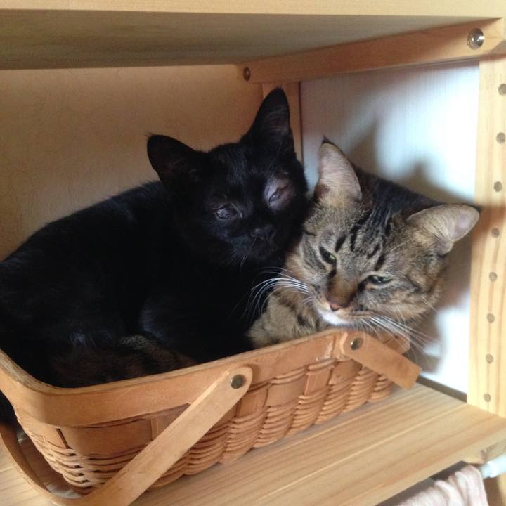 C43927df 40c6 4201 89be 93f4c92d872c