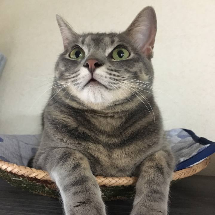 C4394514 5db0 4381 a3d3 c4035dd74f19