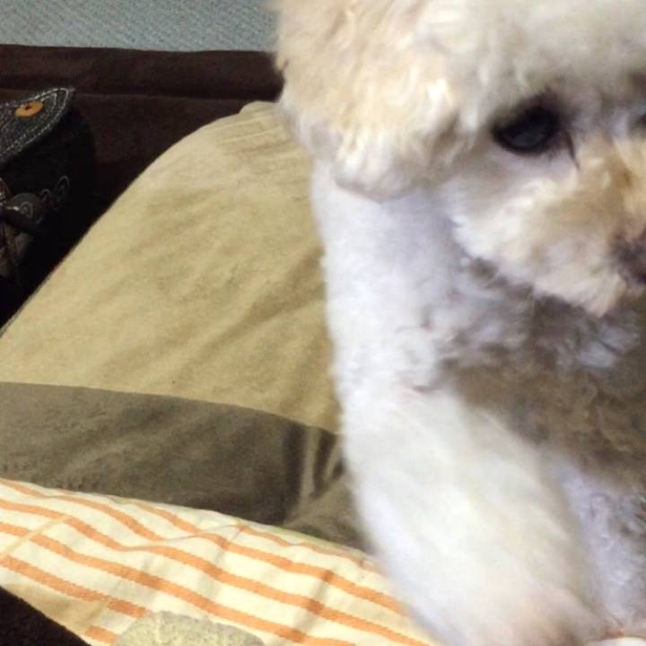 C43a42b9 be6e 4db2 a036 f5ea38da5299