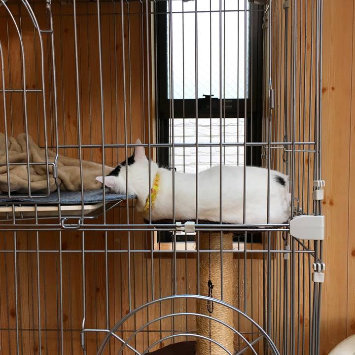 C43a45e0 b5bc 4c6e abc1 f616f819f9c0