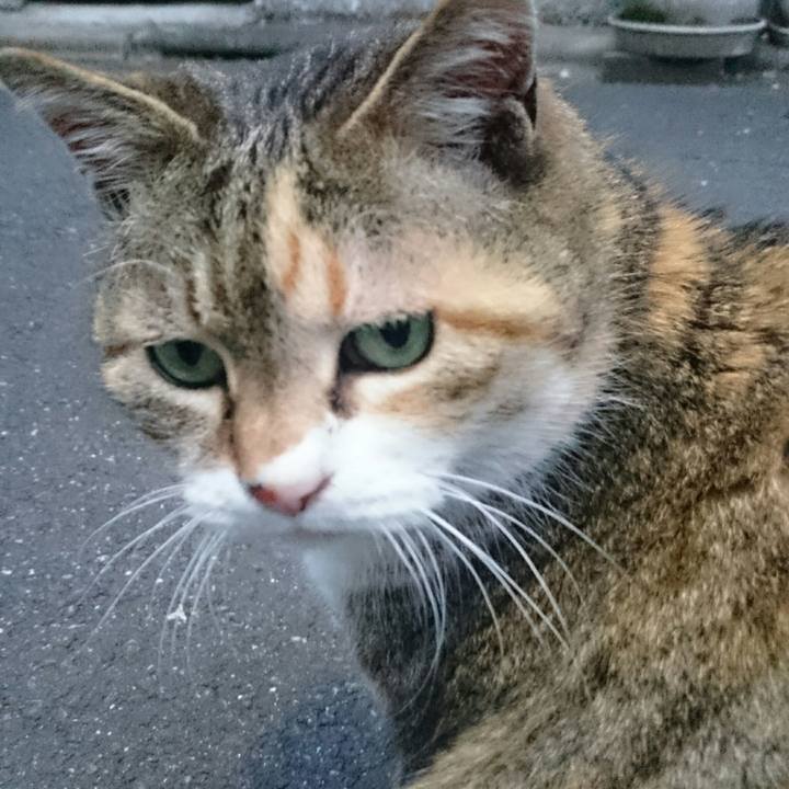 C43a7be6 c465 4914 b55a 76f146a102df