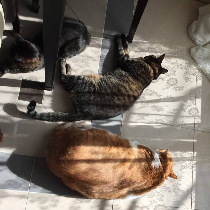 C43af40a ab2c 4723 bfe5 31033754aa8a