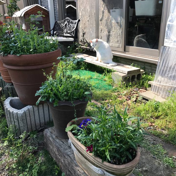 C43afda8 ea56 41e0 a6a0 dc2acab6a0a9