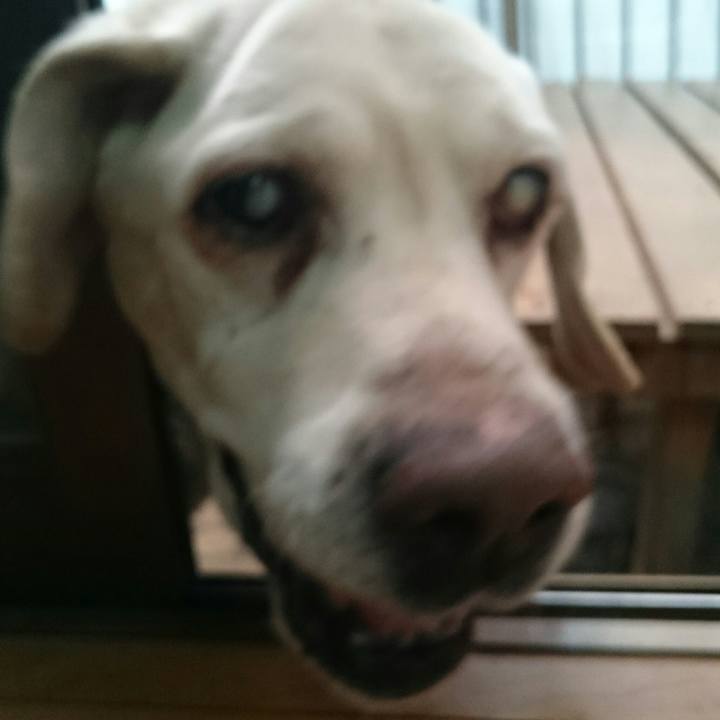 C43b69fa 2c48 412b bc6d d971e3f8c23e