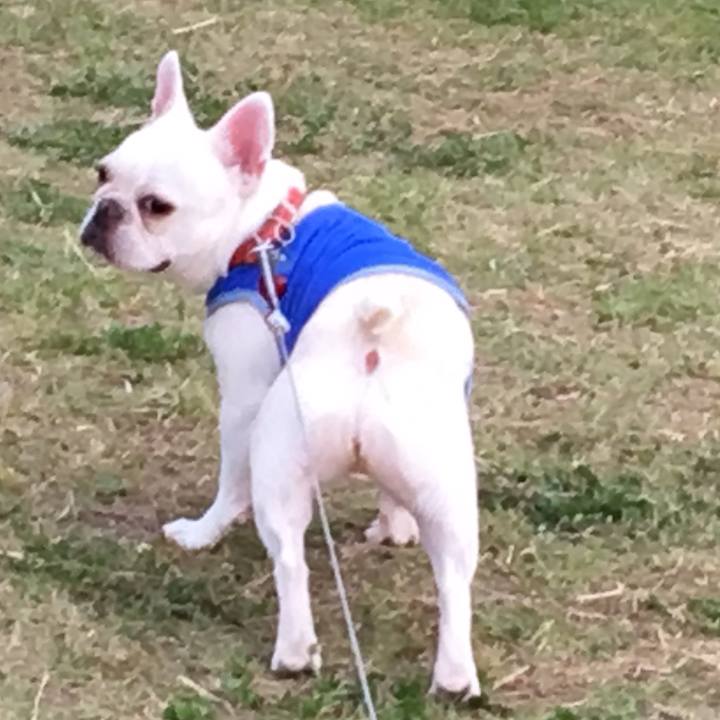 C43be87d 7688 4919 a50d eff558b2b2f7