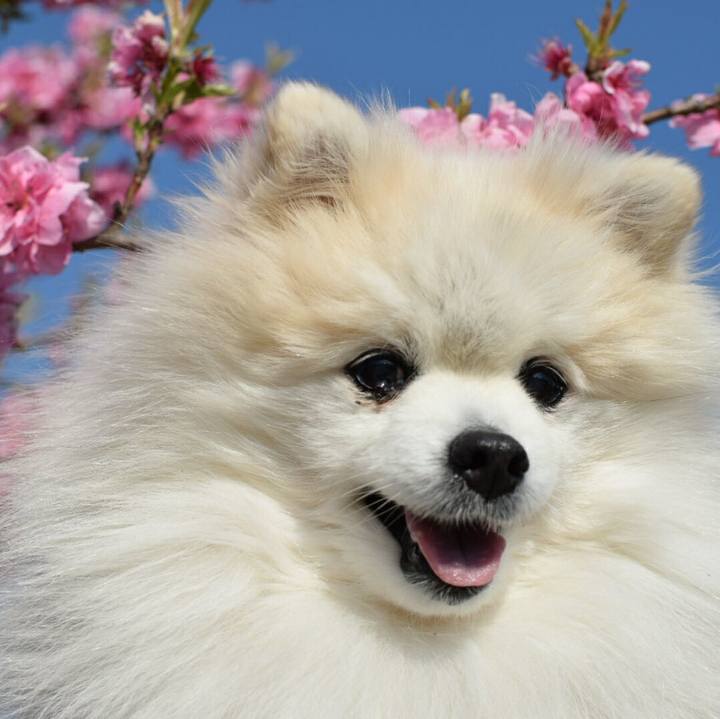 C43c8b11 8b1f 427f 96b5 20d2f20acaca