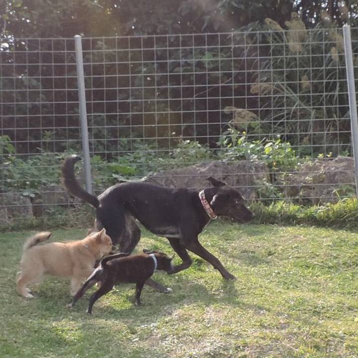 C43e0fac 73c1 410f 8d72 34658904b195