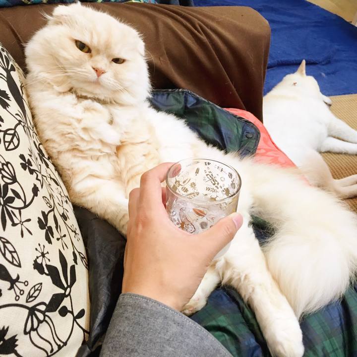 C43f1c5a 2e47 46c4 a241 1832a6b07a19