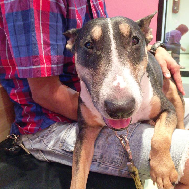 C43f21e9 e960 4dd9 8650 7efc901ba8aa