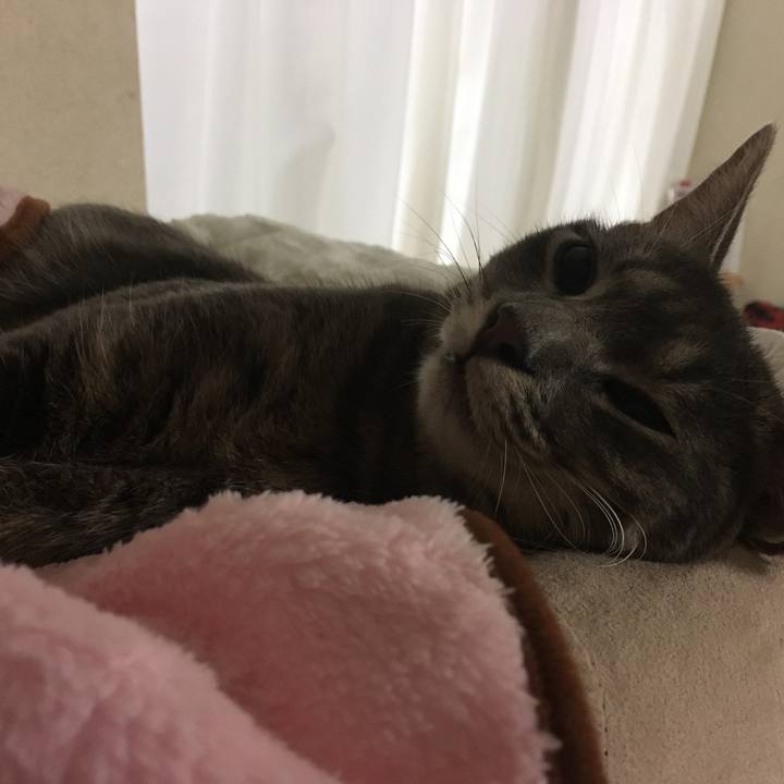 C43f298a 9f19 4a6a b0f7 ce798a221a0d