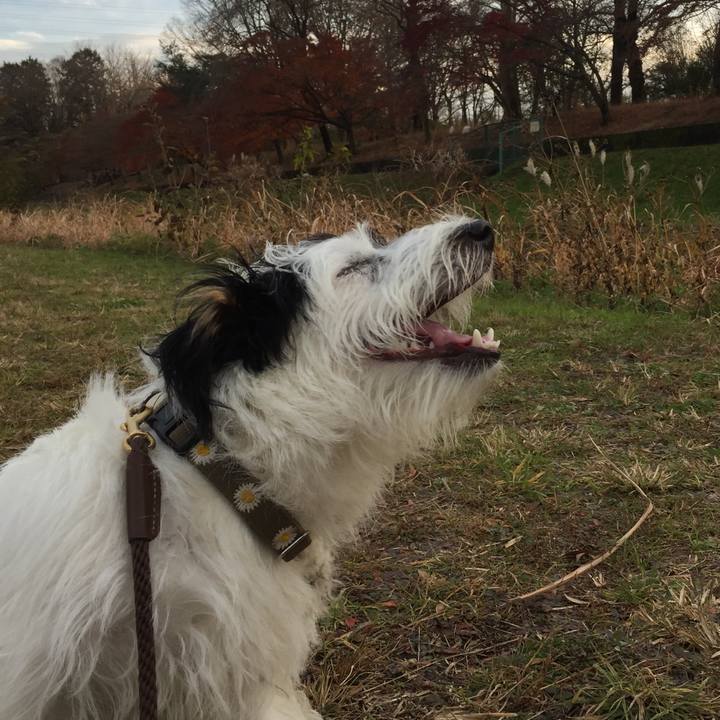 C43fe0a4 54b3 4d75 a19a 8c1ffde6dd58