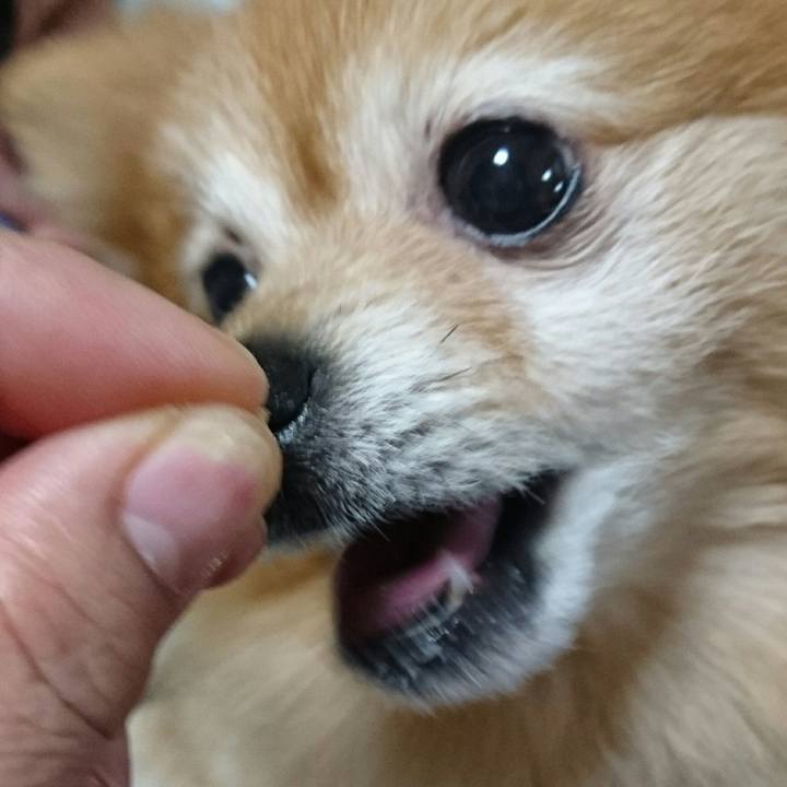 C4408d3e 93fe 4e1a 997f 90764ca916e0