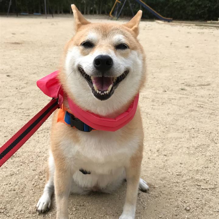 C4410ca5 1037 466f a6e3 b490b654de57