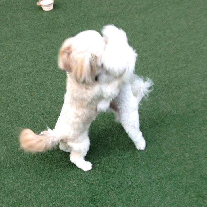 C4415b7d 3434 427f a6e5 5f8df1e82012