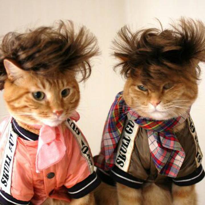 C441b664 c604 4729 ab20 443155dfdb47