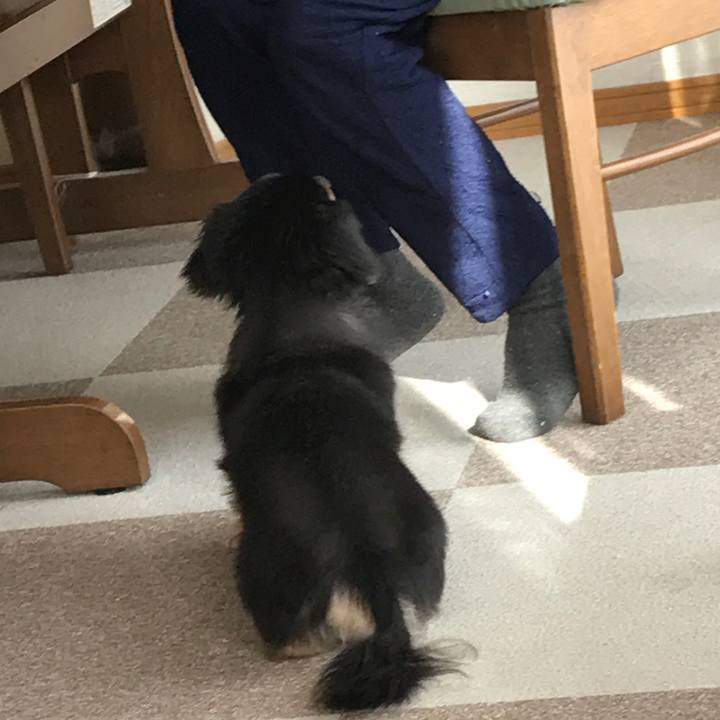 C441bfc5 1085 497e b92e 78dec0508dc5