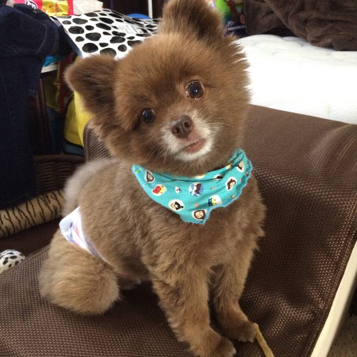 C4420283 07b4 4ae4 b201 cf9a521235e2