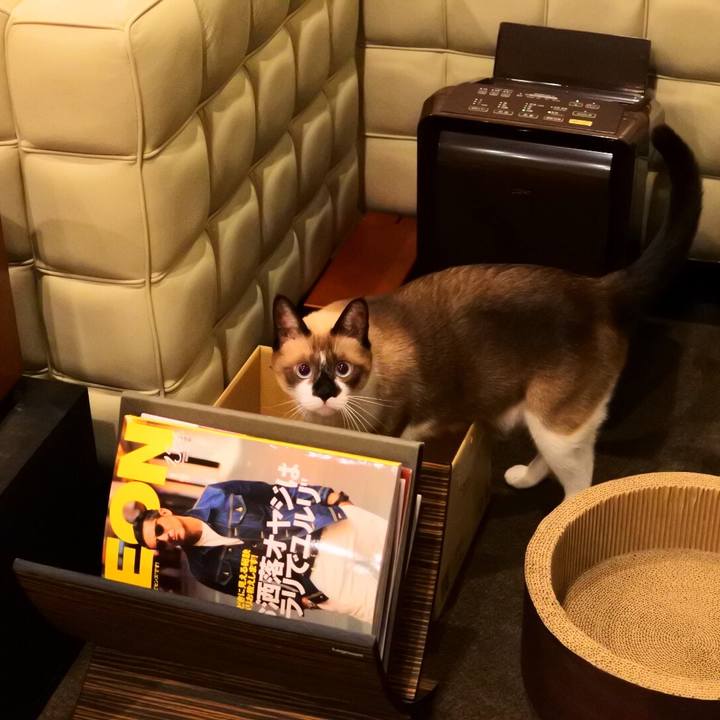 C44222e7 5748 4a9f abbb 45a87f4bc748