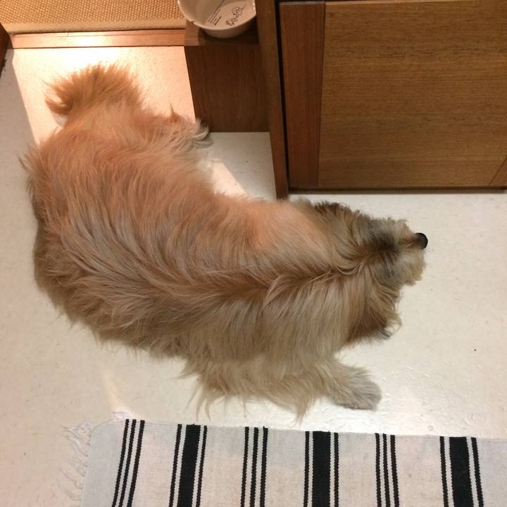 C442f34f 0ae7 4b64 9a49 1bdad84b1d7e