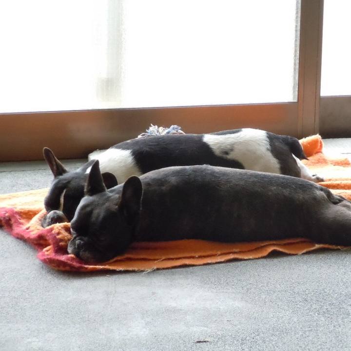 C4438eb5 4153 41f0 9fe9 7f0f169ff7c9