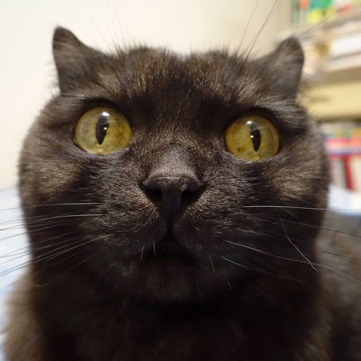 C443a0fe 6019 4574 8af1 16dfd82dde0a