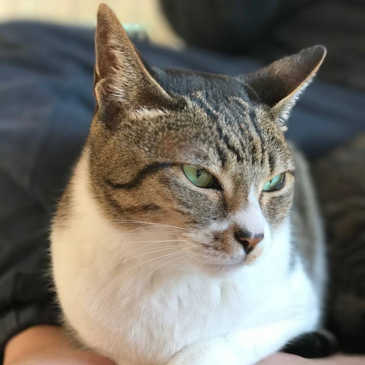 C4445e41 bb31 4e94 bd41 ce142f5a3606