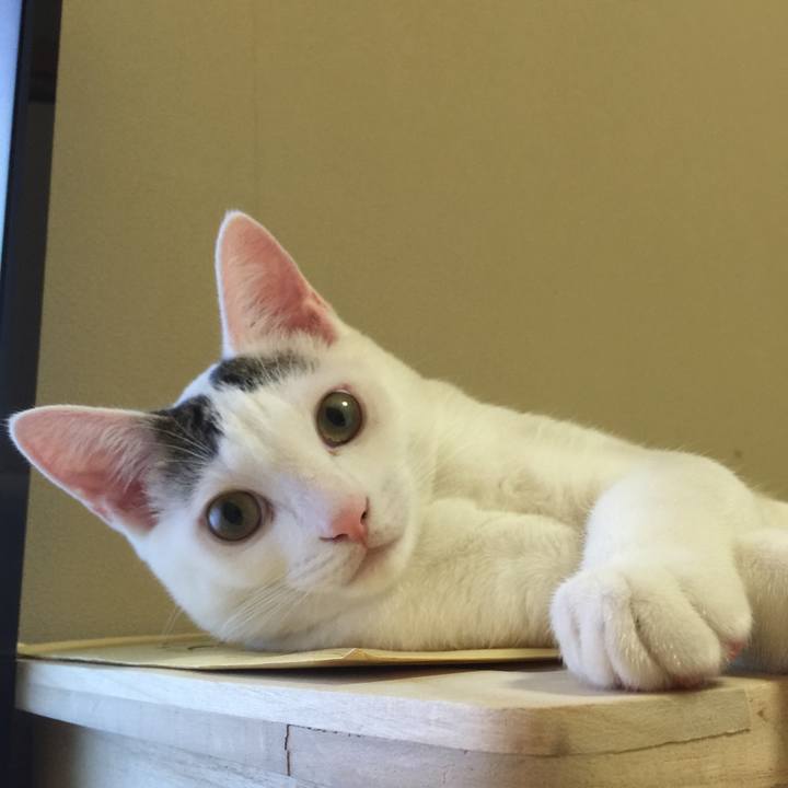 C4448153 e5d8 49f5 b78e 09a057b6a58a