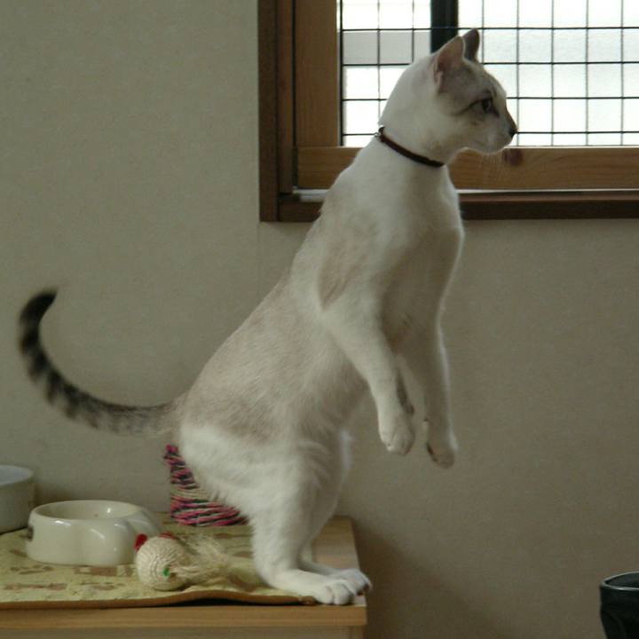 C445217e c28f 4ad2 a28b 409b2b403d23