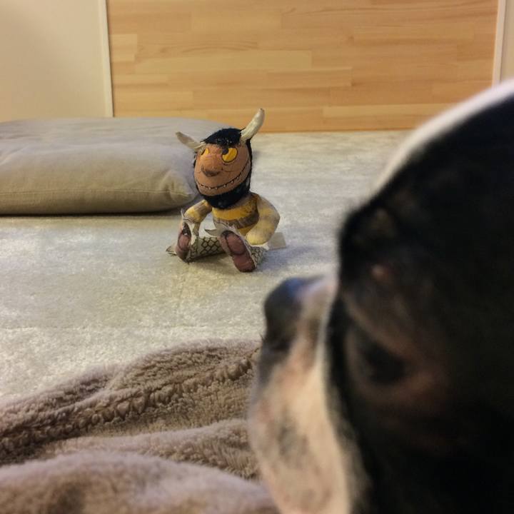 C44527e9 bef3 4efe 8836 dce06572a264