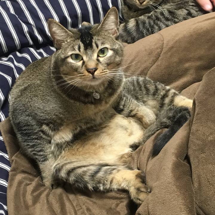 C445e1df 97a6 445e b007 d037bbabdb20