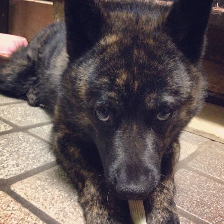 C445e2b2 bb8a 40fc 9b17 472576972d31