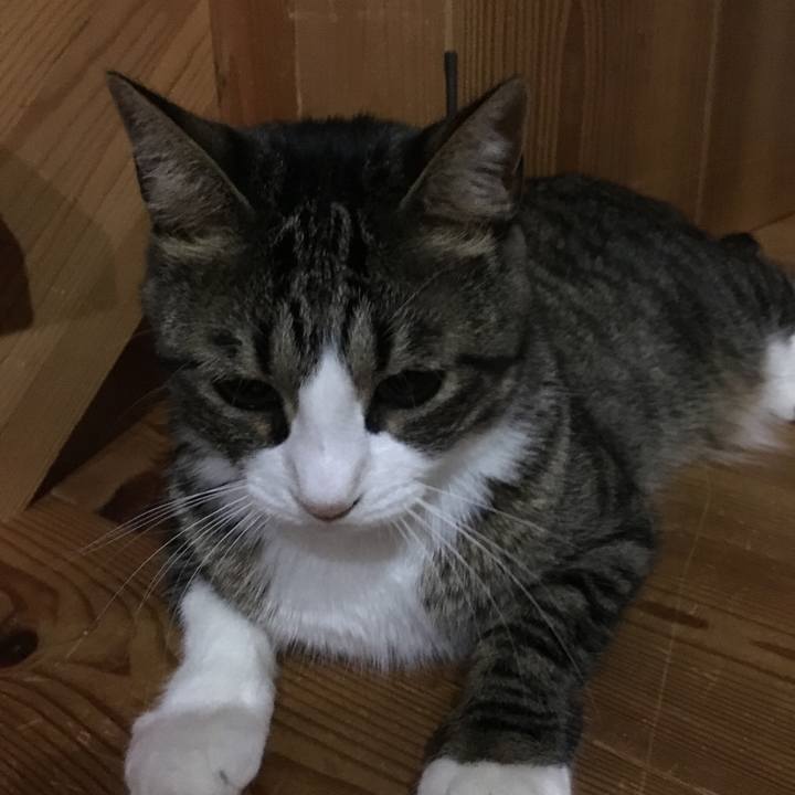 C446efec 25a9 4a9d 938f 79d79ab144ad