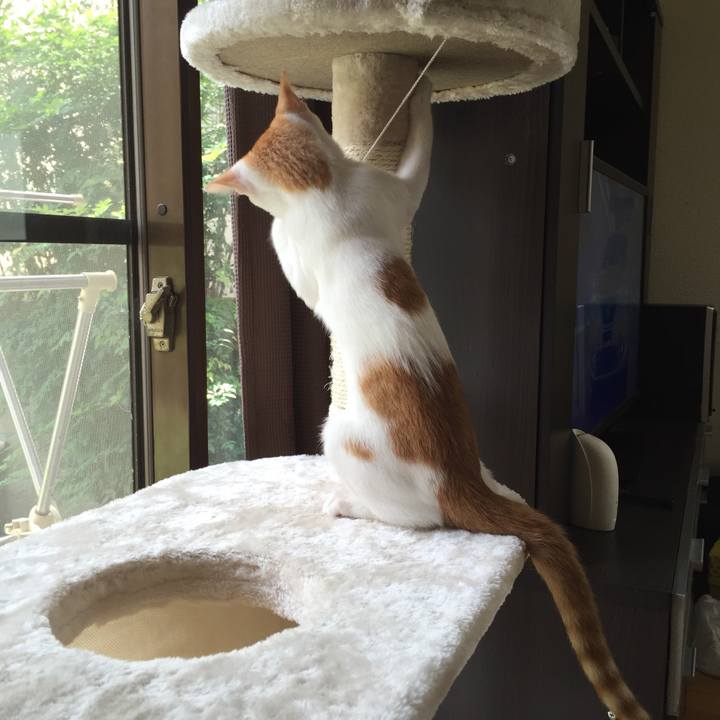 C446f9c6 df7f 40b5 9592 292391ed6fef