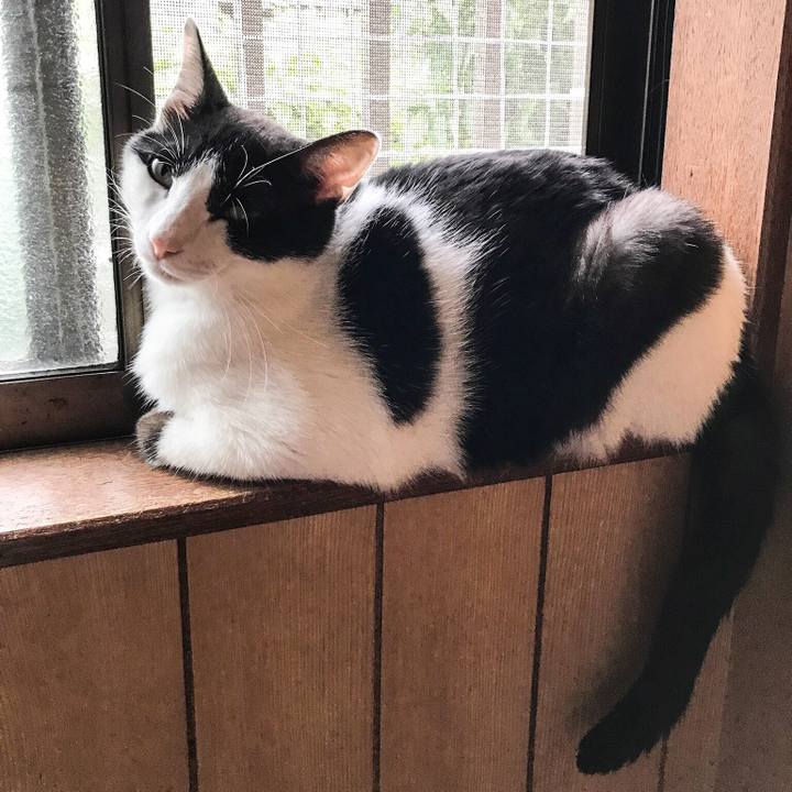 C4479e43 2eed 4b31 a5ae 86898c183695