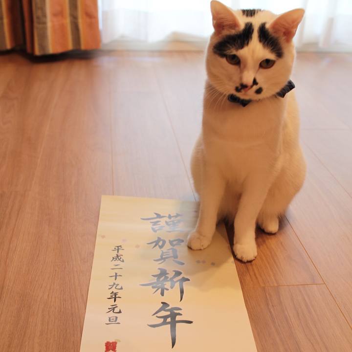 C448238a b649 4fe1 80fc 9b263234dce9