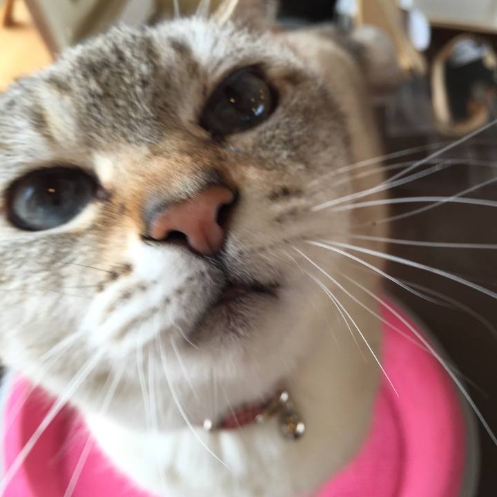 C44849c2 5792 41d6 8698 bff841af1338