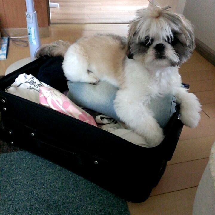 C448705f be77 45f6 bd41 7b312bccfd67