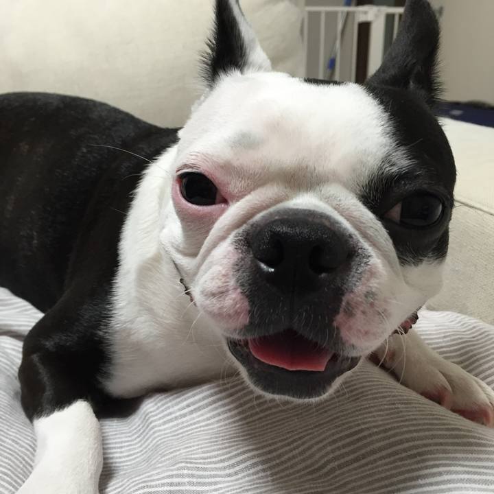 C448ad1f a5c5 4302 b8c9 ef9020c3a6ff