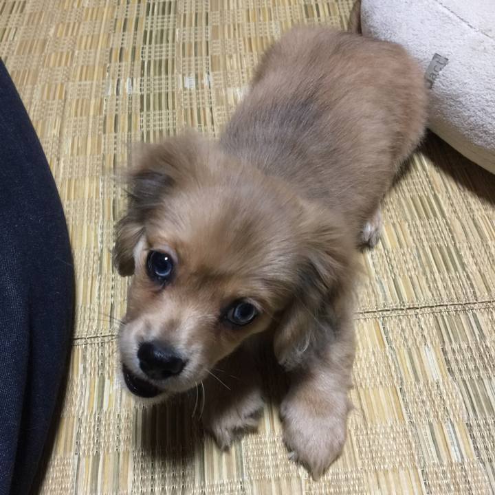 C448c671 d277 42eb 8608 14c0f0479bed