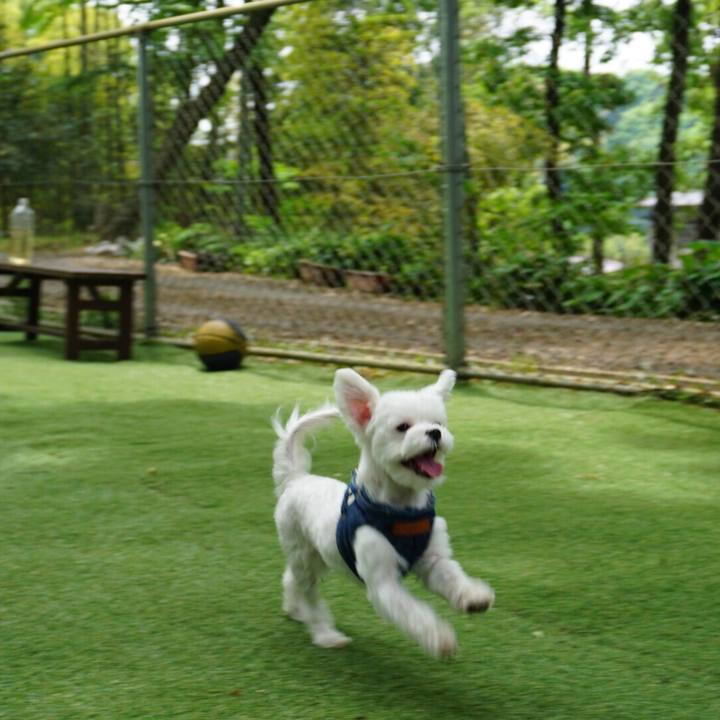 C448eb52 449a 47d4 990d 672c16ca318e