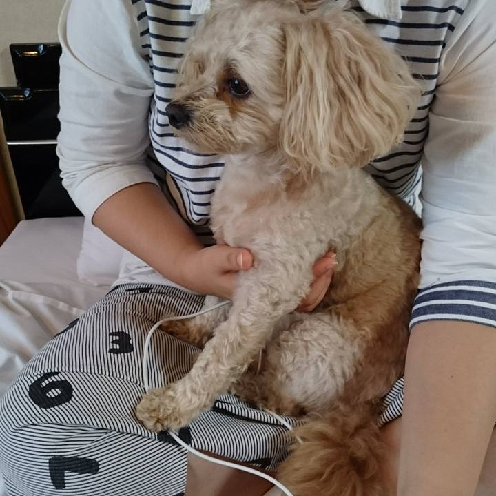 C4493de7 137b 4a1b bacd bf93771456fa